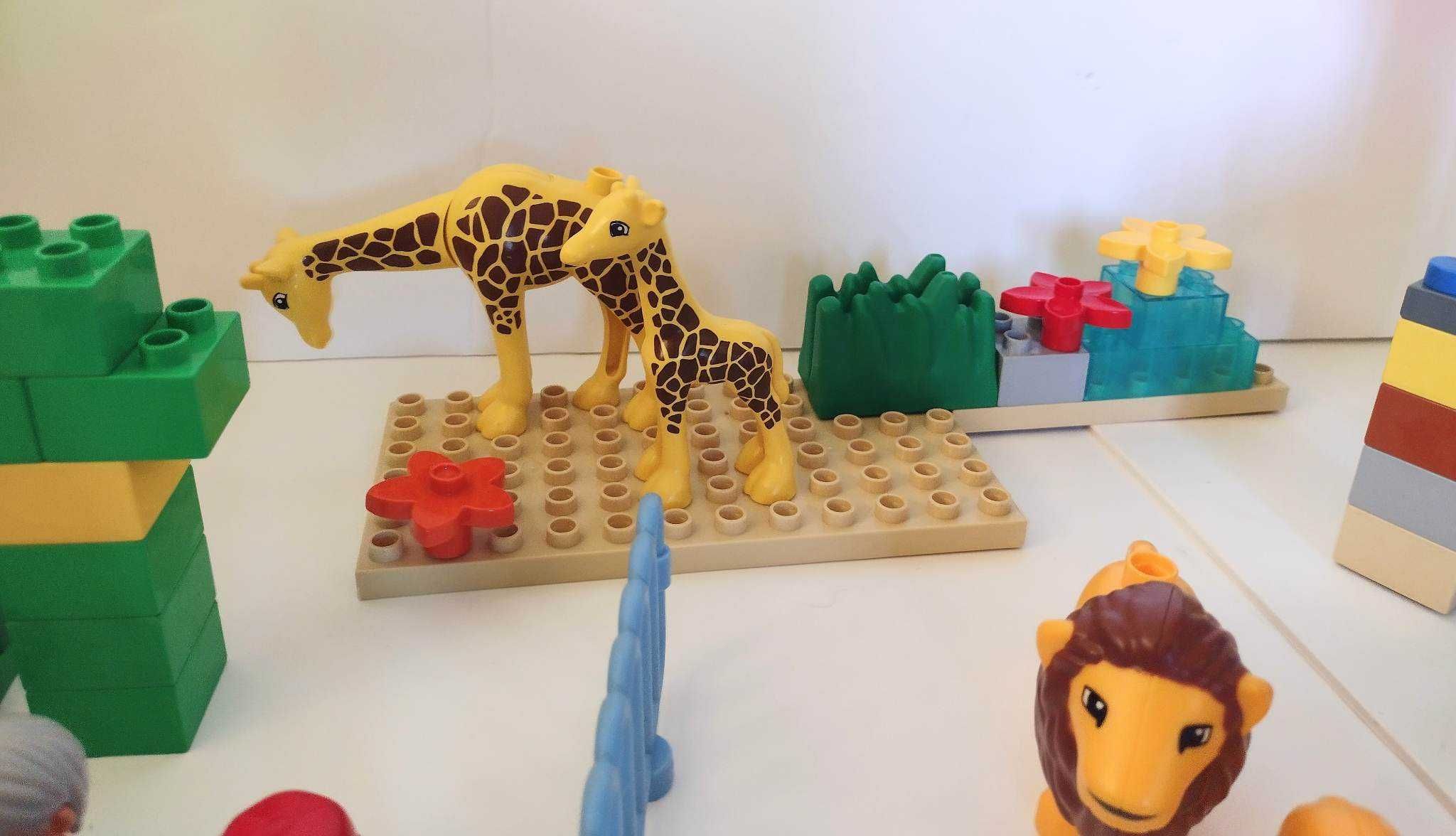 Lego duplo - duże zoo 6157 i inne dodane