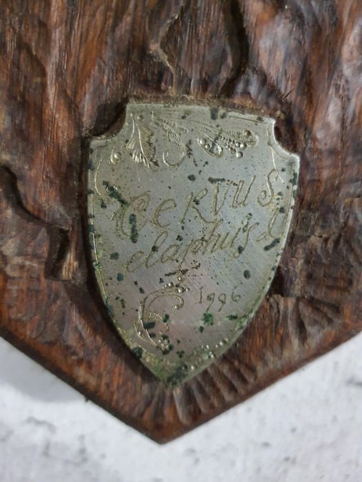 Огромные рога оленя