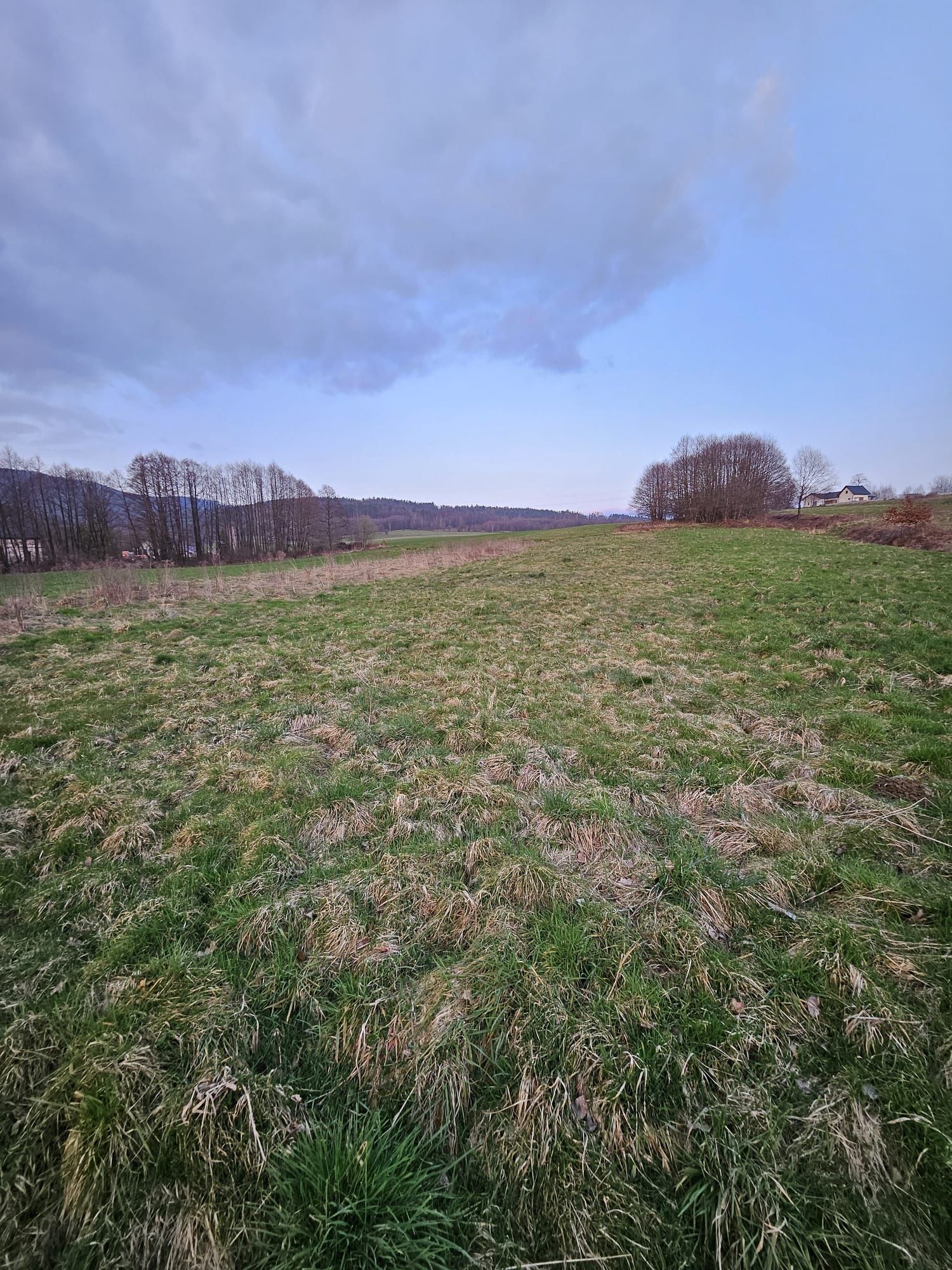 Działka o powierzchni 0,1031 ha w Łodygowicach.