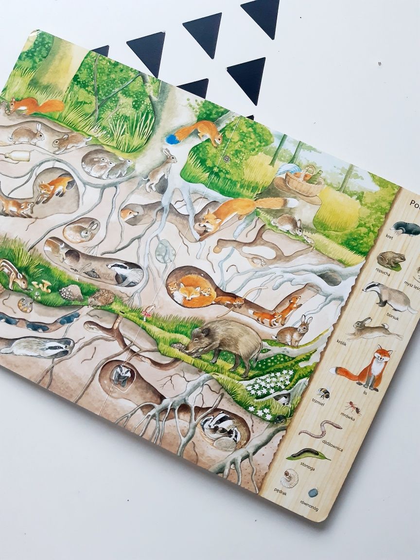 W lesie Henkel książka obrazkowa picture books wyszukiwanka