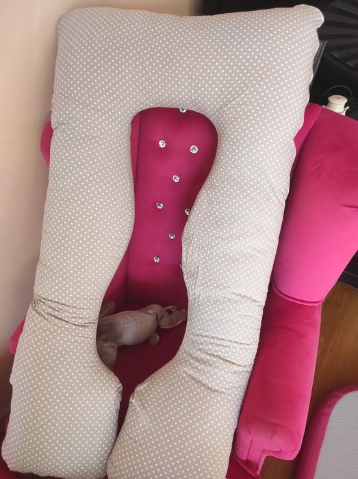 Poduszka ciążowa U baby Universe