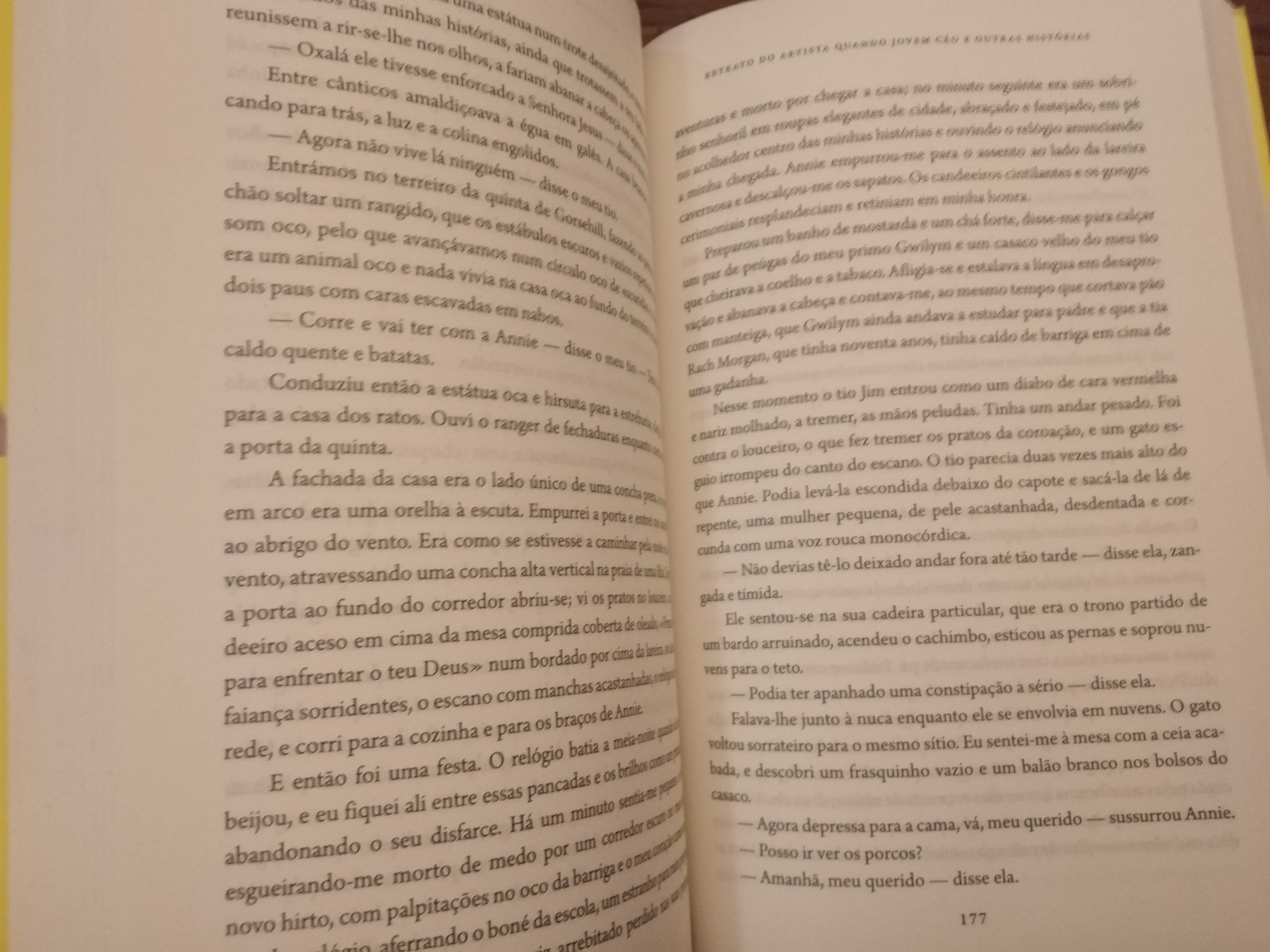 Dylan Thomas - Retrato do artista quando jovem cão e outras histórias