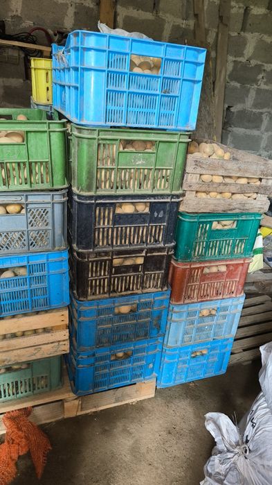 Oddam odpady ziemniaków