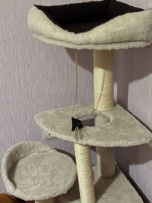 Кутова кігтеточка