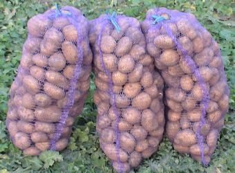 Продам картоплю змішаних сортів