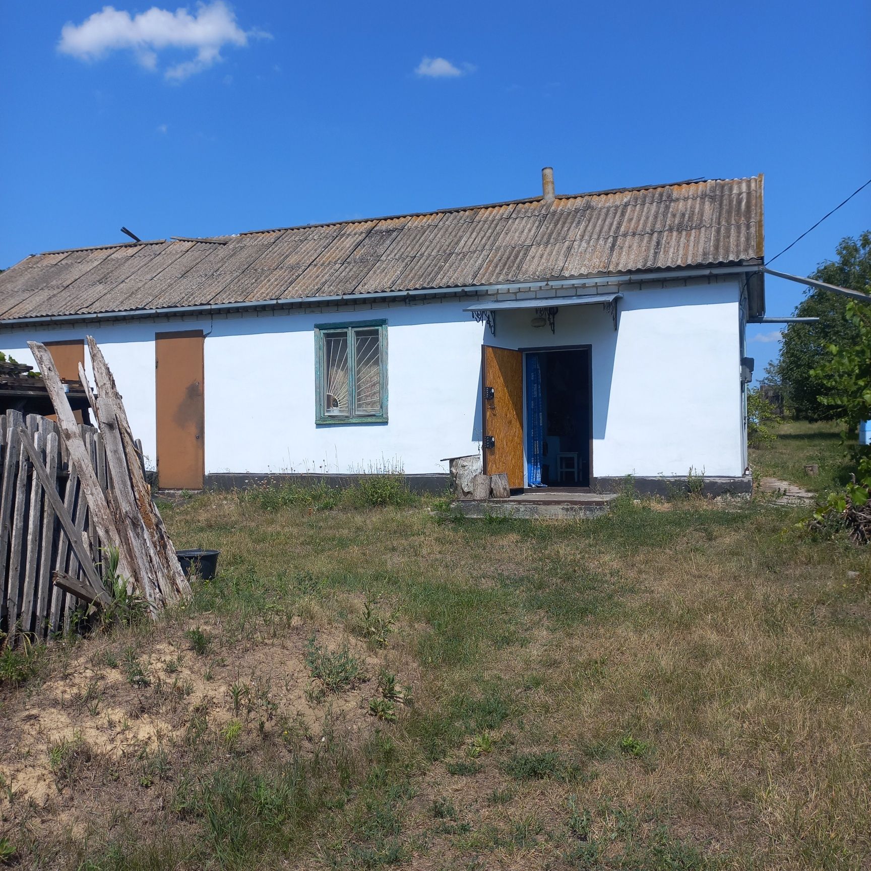 Срочно пчелопакеты и пристройка