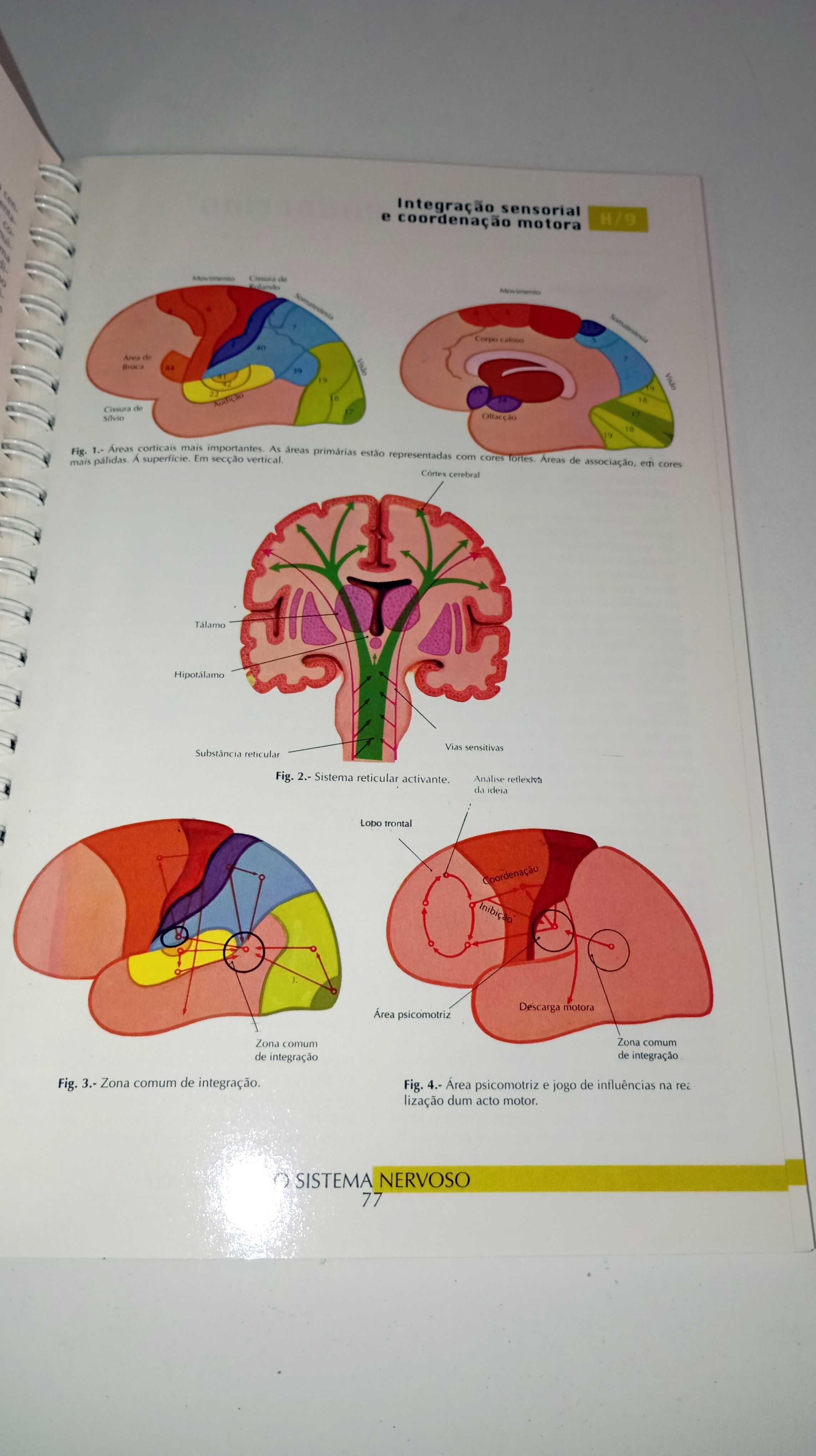 Atlas Temáticos - 5 livros