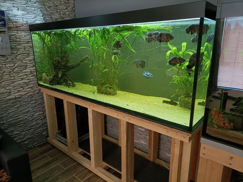 Akwarium 840 L stan bdb full opcja