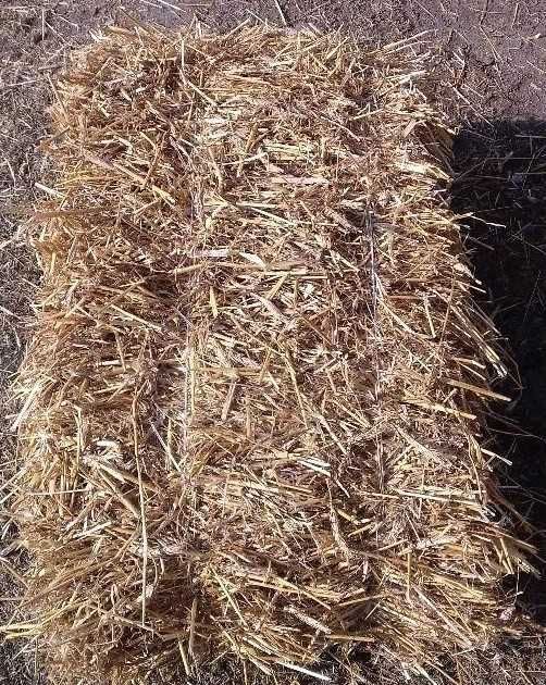 Sprzedam słoma kostki