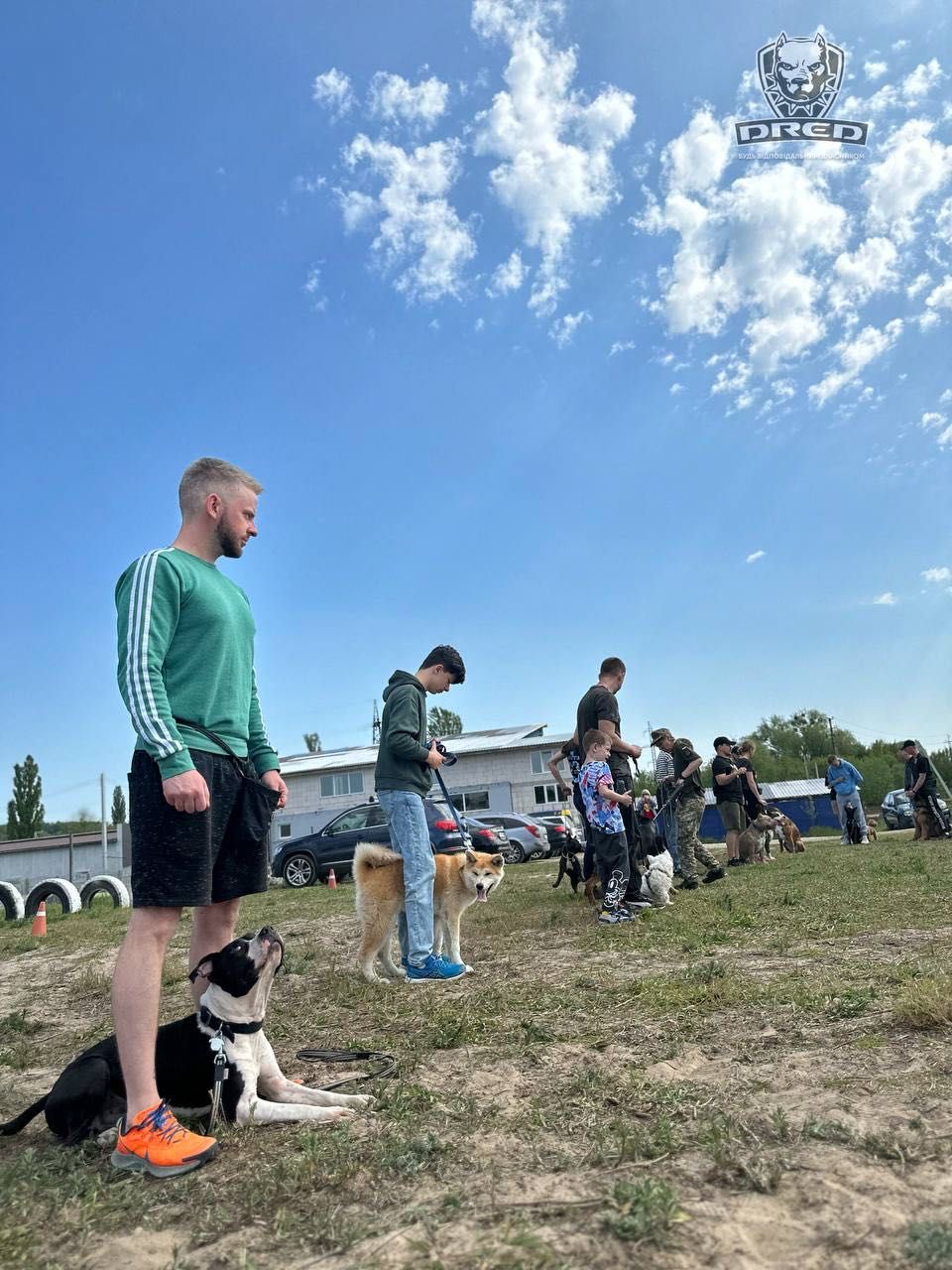 Безкоштовні заняття для собак з групи соціалізації