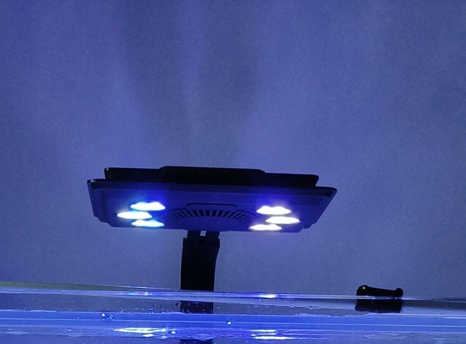 Maxspect jump MJ-L 165