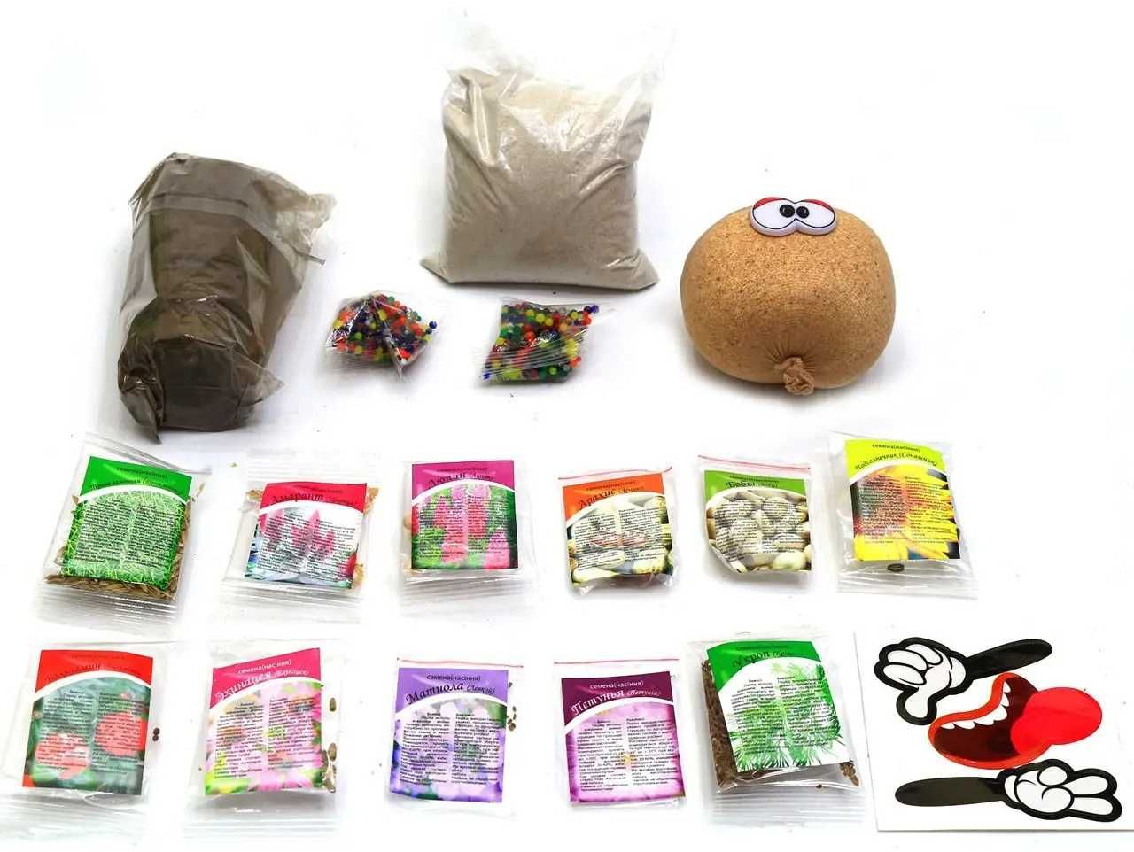 Набор для выращивания растений Danko Toys Home Florarium HFL-01-01