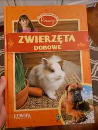 Zwierzęta domowe