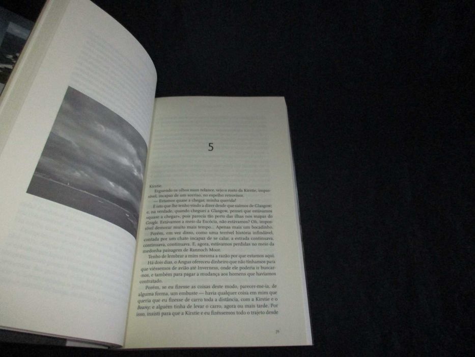 Livro As Gémeas do Gelo S. K. Tremayne