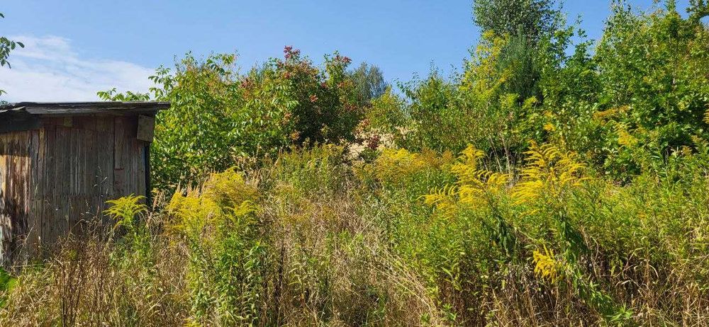 Продаж двох суміжних ділянок в Брюховичах, ліс, чудовий краєвид !