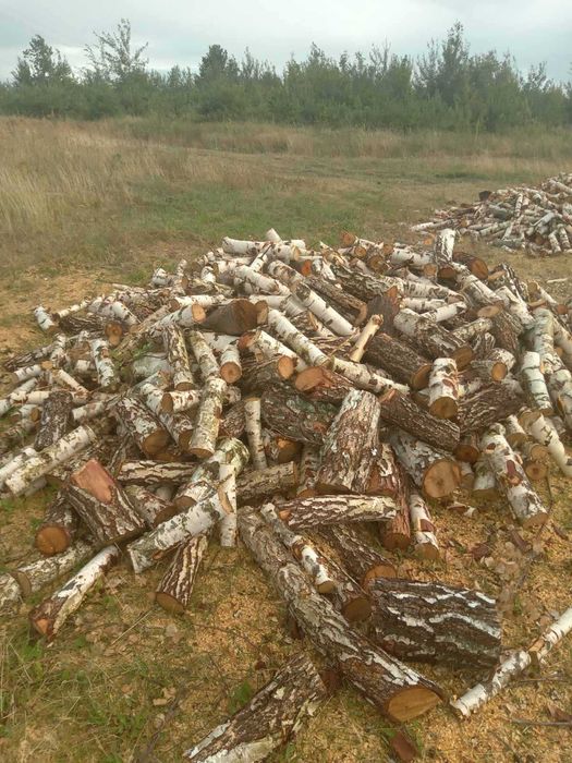 Продам дрова береза