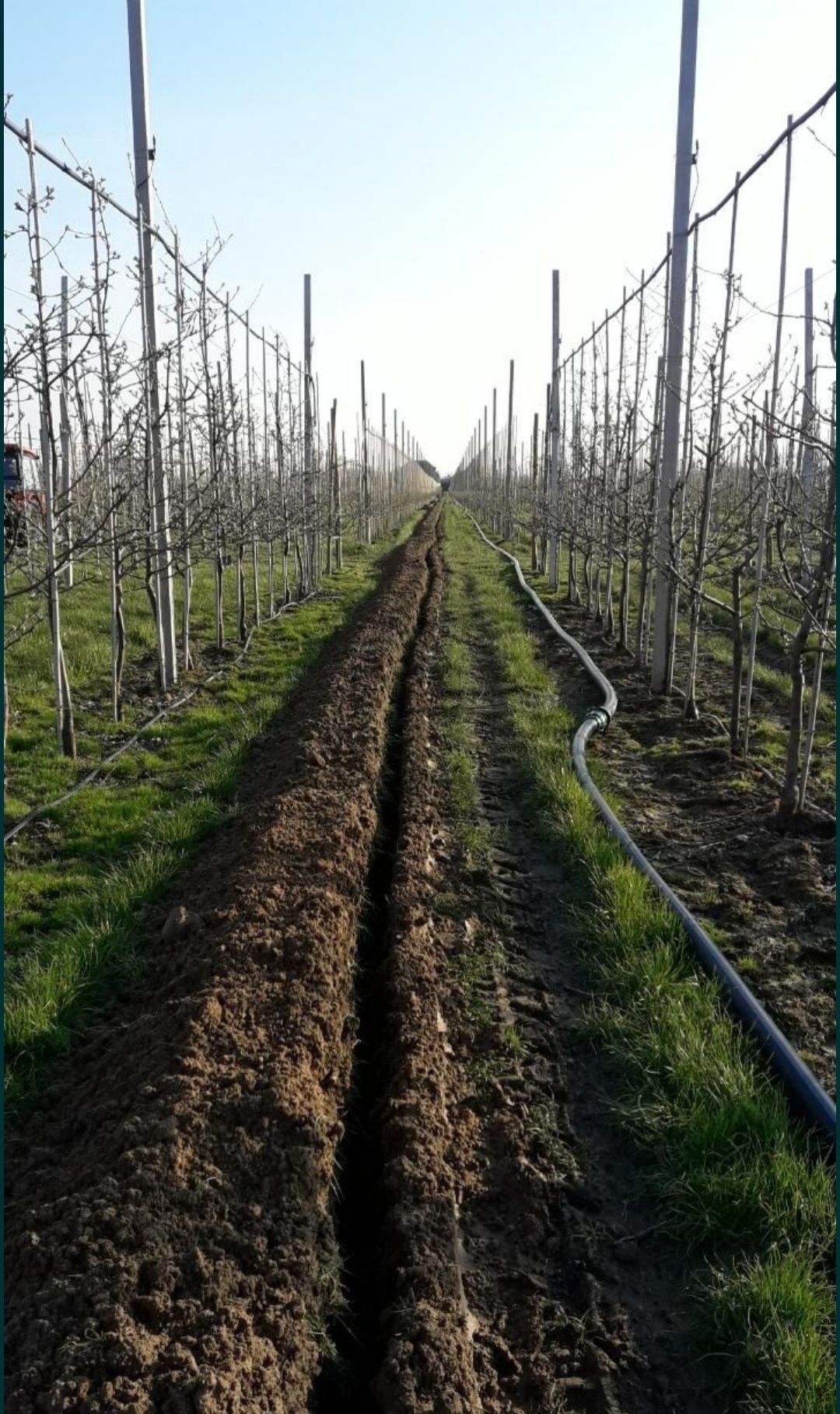 Wykopy liniowe koparką łańcuchową melioracje odwodnienia gaz prąd