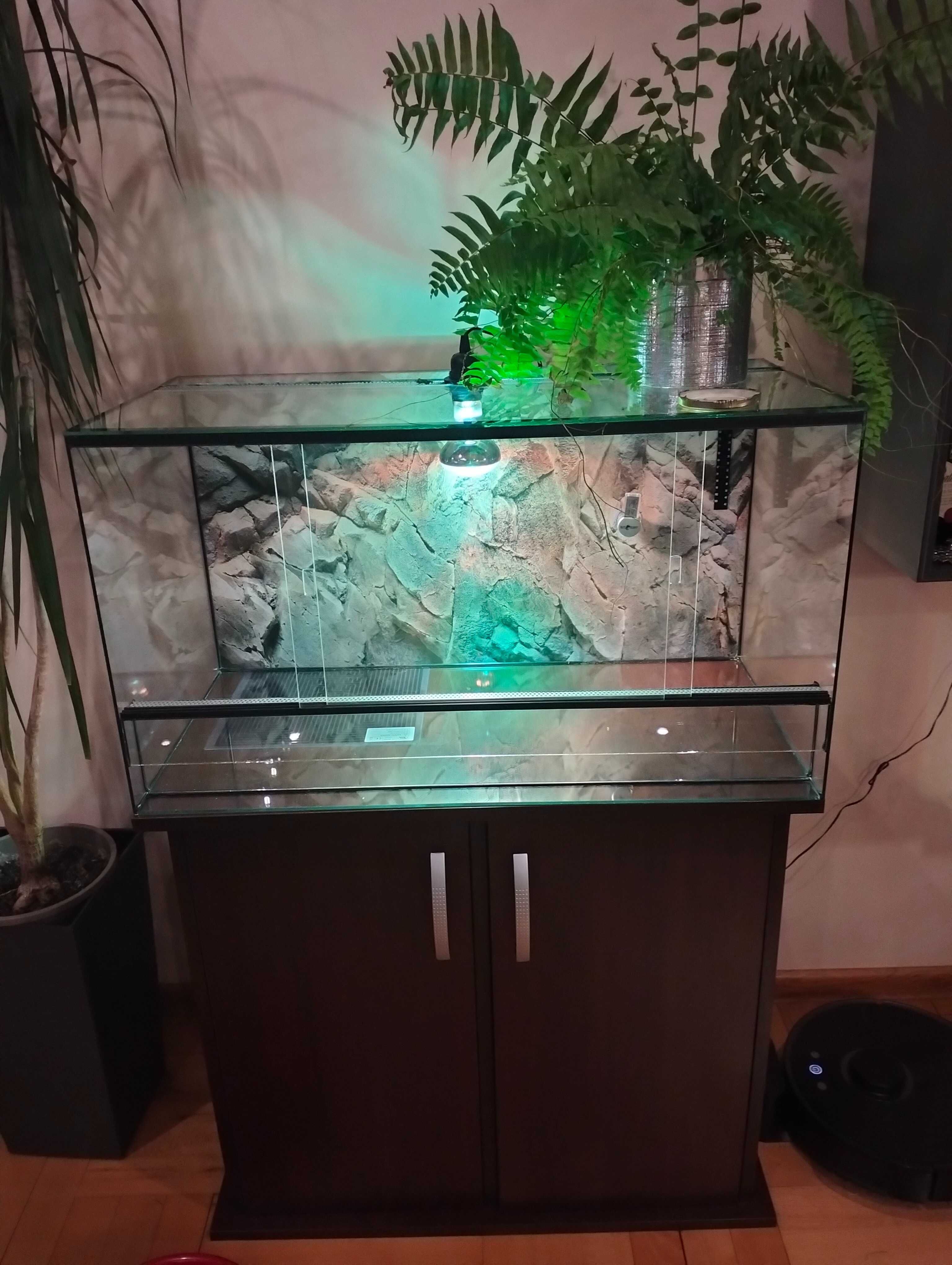 Terrarium z szafką