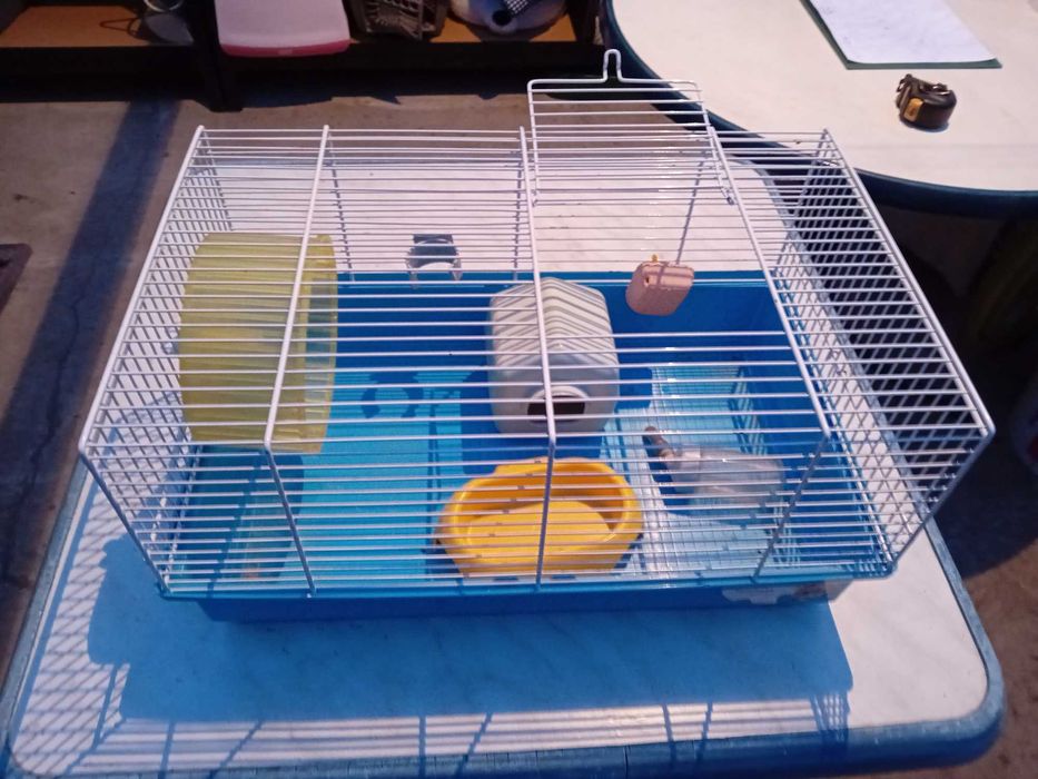 Klatka Dla Chomika, Skoczka, Myszki, Szczura, Wymiary: 46 x 29 x 23 cm