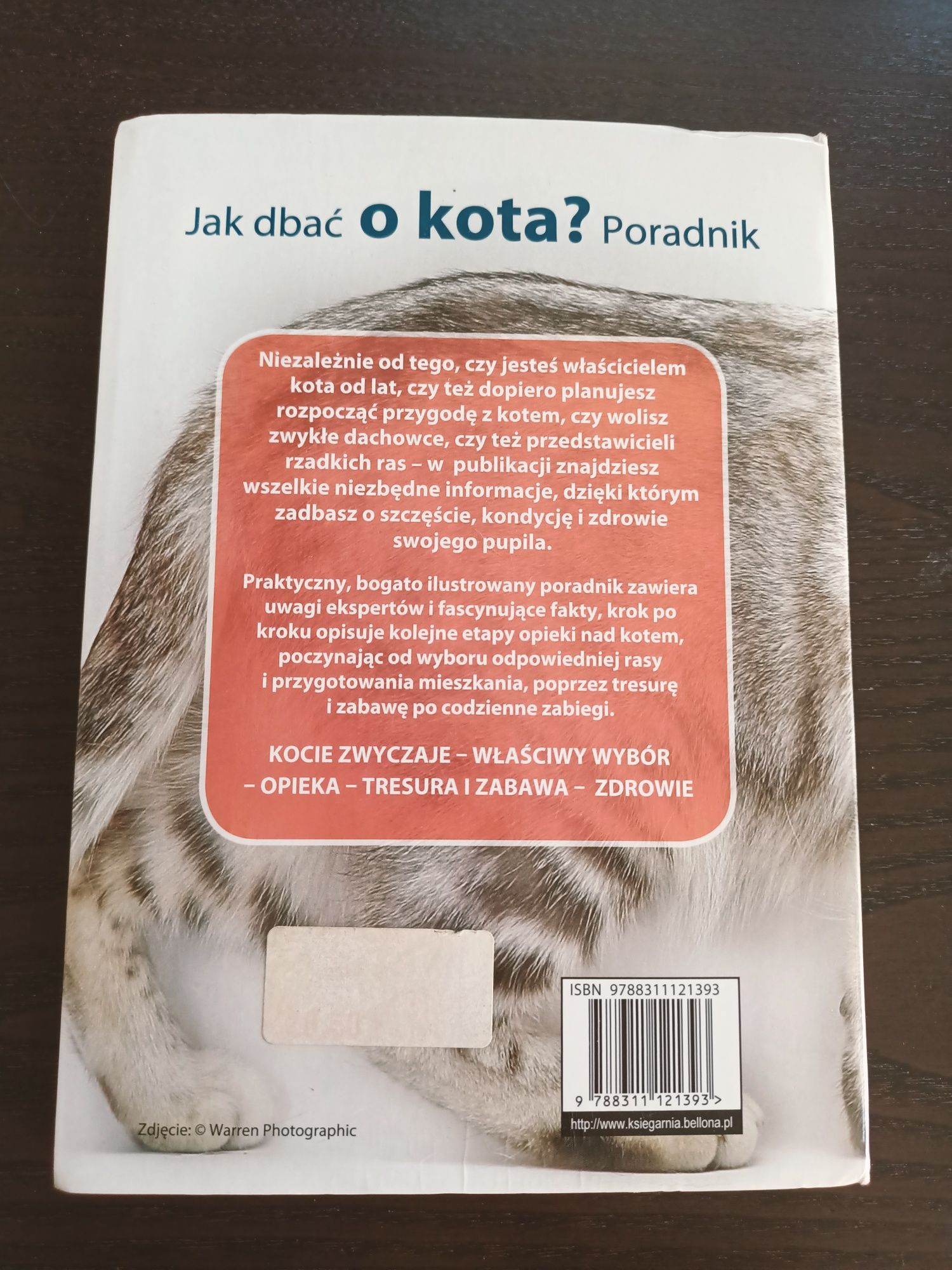 Poradnik jak dbać o kota