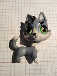 Husky LPS figurka