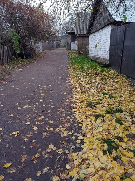 Будинок біля лісу. Всі ЗРУЧНОСТІ. Гарне транспортне сполучення.