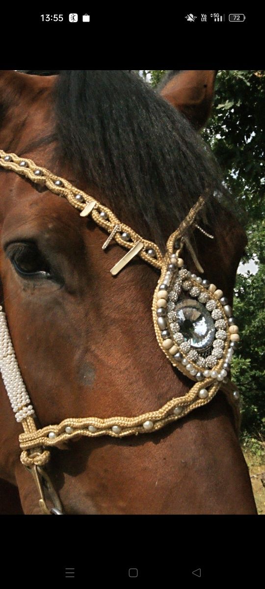 Piękny zestaw do zdjęć z koniem na sesję ogłowie napierśnik ozdobne