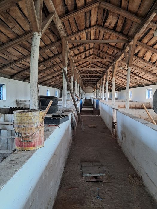 Продаж сільгосп.будівлі Свинарник