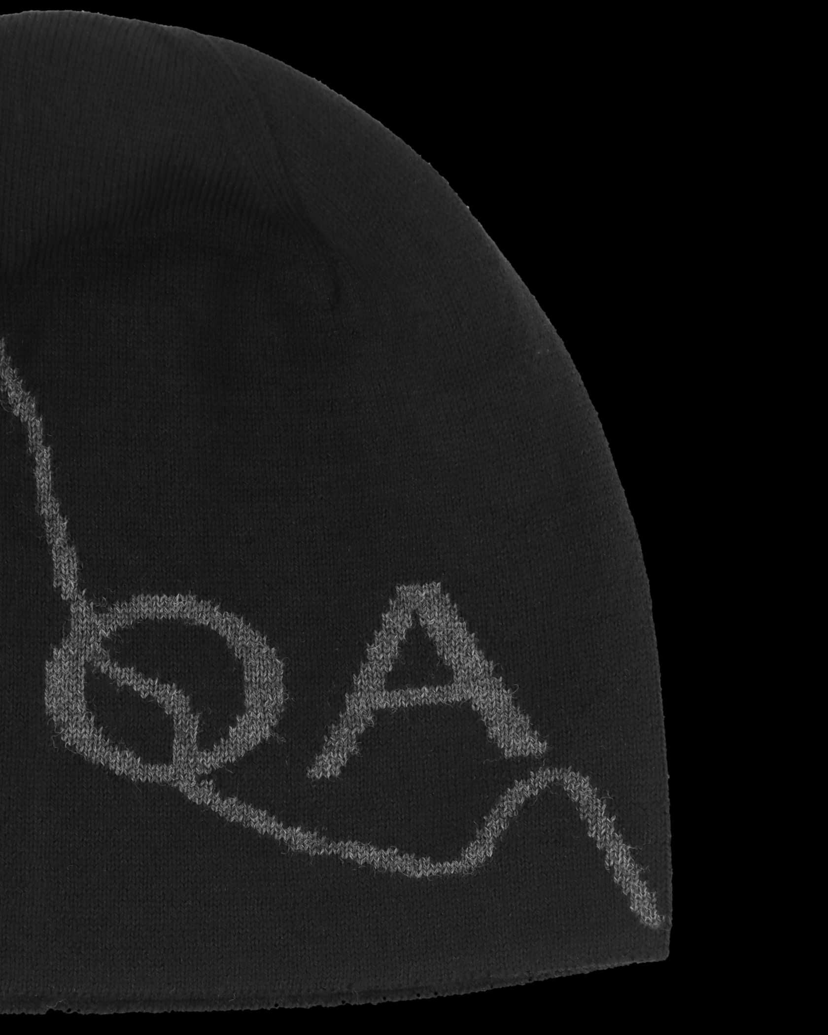 Шапка Roa Beanie Logo Black