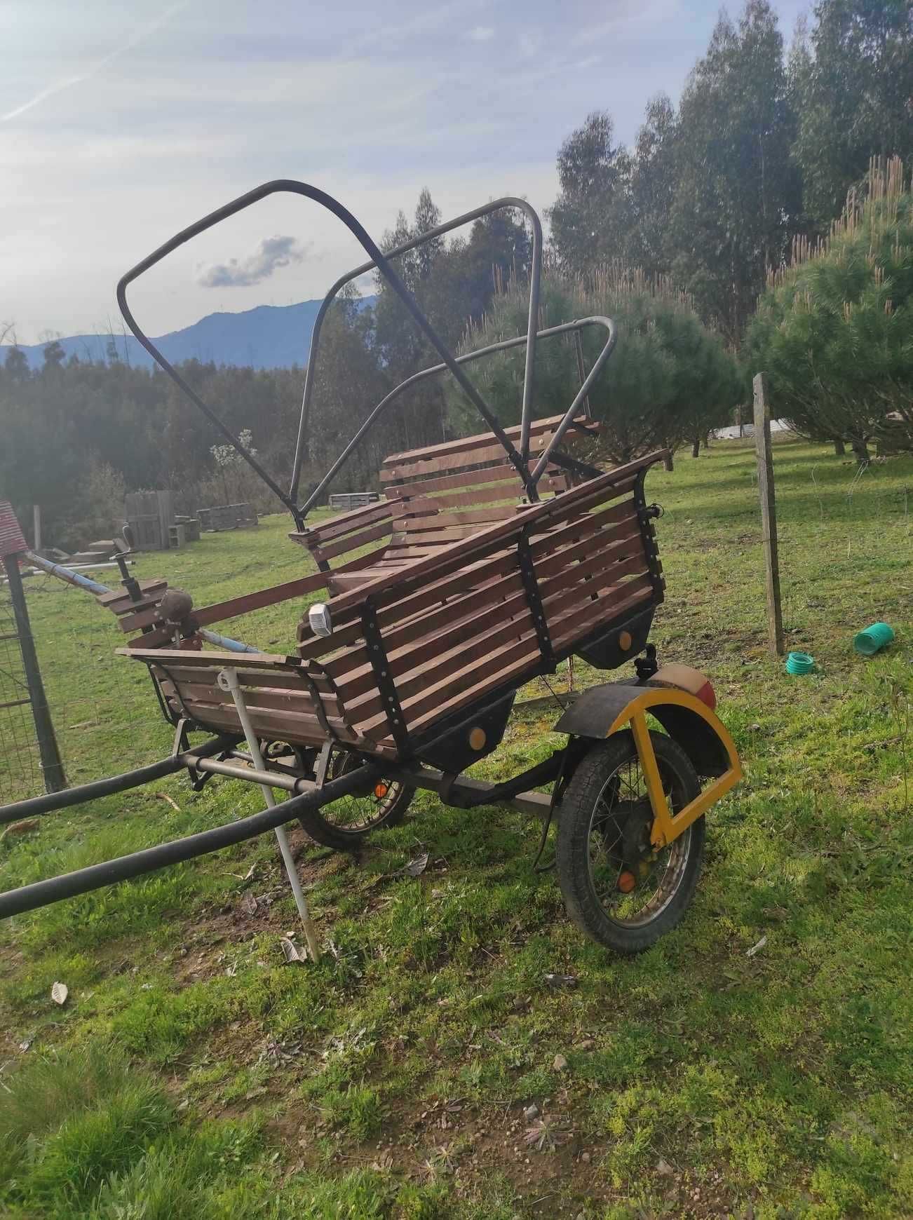 Charrete em madeira