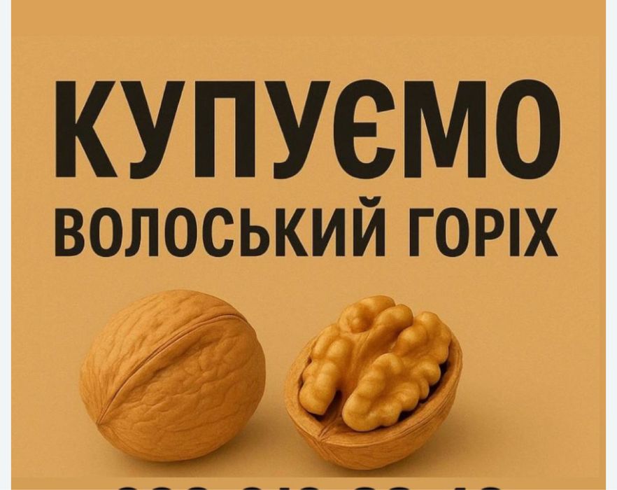 Грецкий орех от насиления города 2025 года