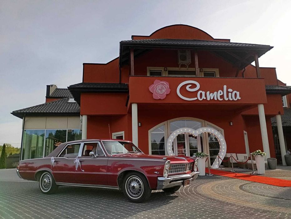 Pontiac Tempest 6 osób Amerykański klasyk do ślubu auto samochód ślub