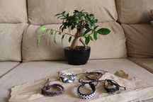 Pulseiras diversas NOVAS