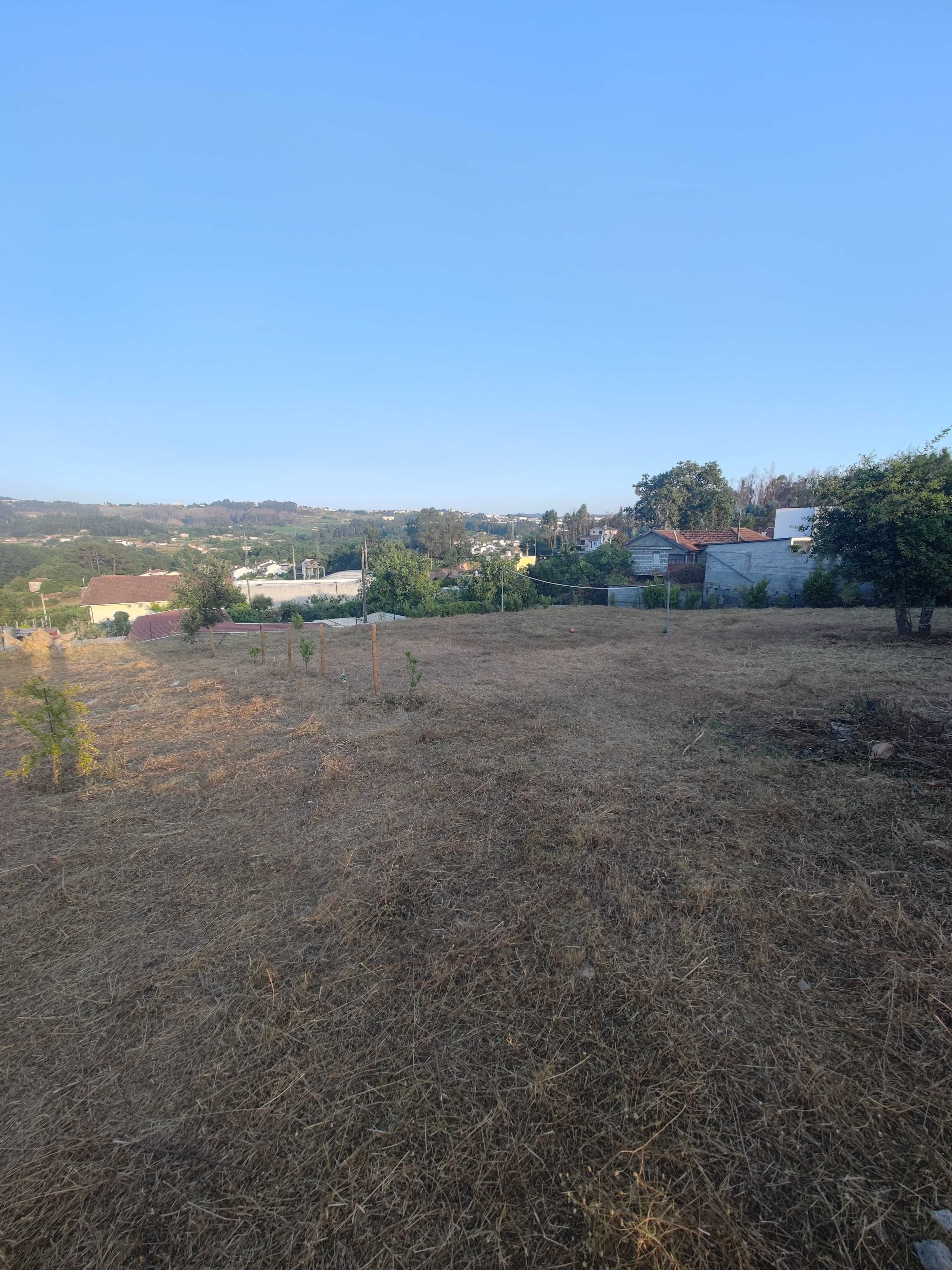 Limpeza Florestal e de Terrenos