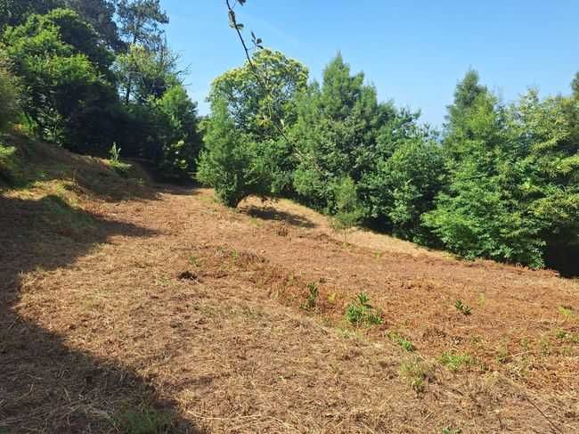 Terreno construtivo