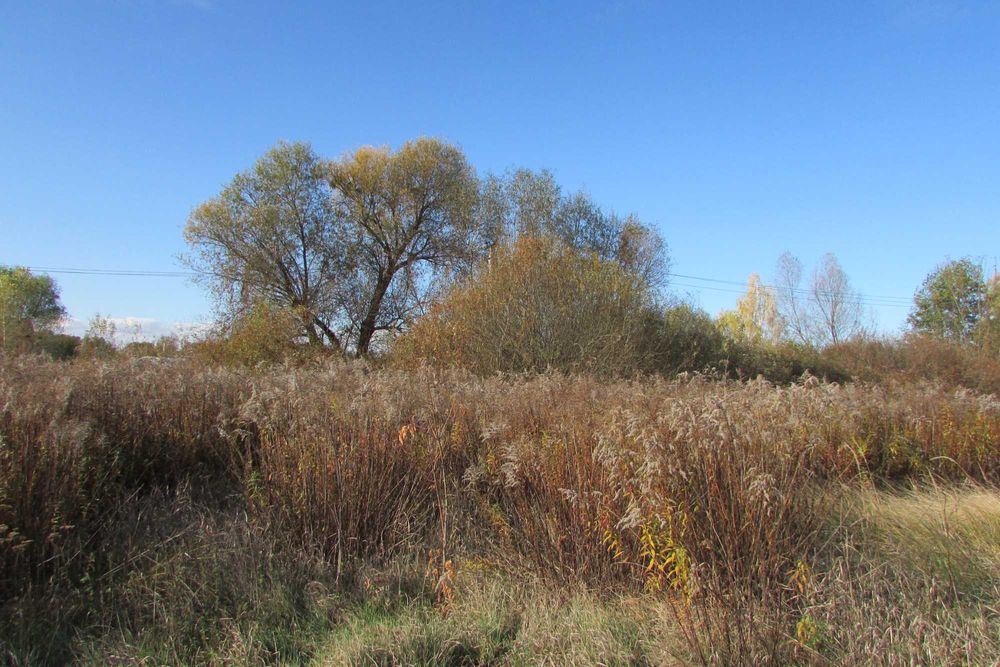 ПУХІВКА. Земельна ділянка 19 соток під забудову.