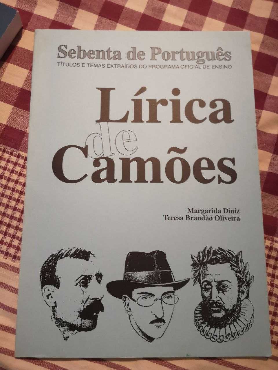 resumos e sebentas