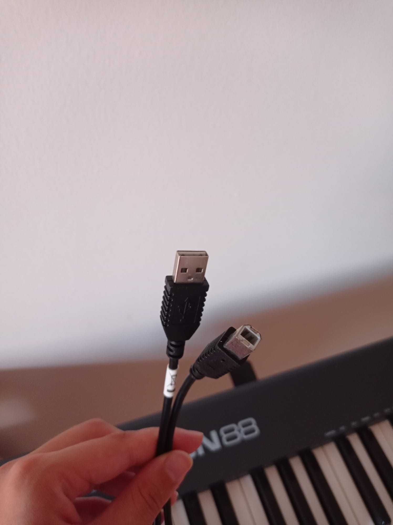 Piano midi - M-Audio MIDI com cabo usb