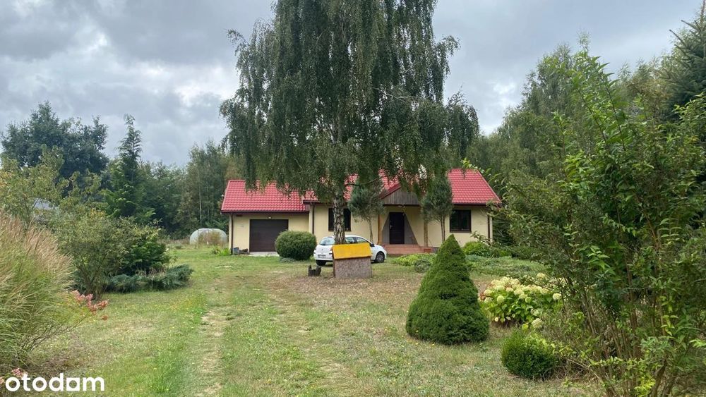 Sprzedam dom z dużym siedliskiem Nowa Wrona