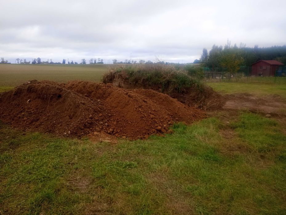 Ziemia - oddam za  darmo