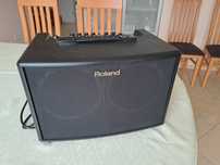 Roland AC-60 dwukanałowy wzmacniacz do gitary akustycznej i wokalu