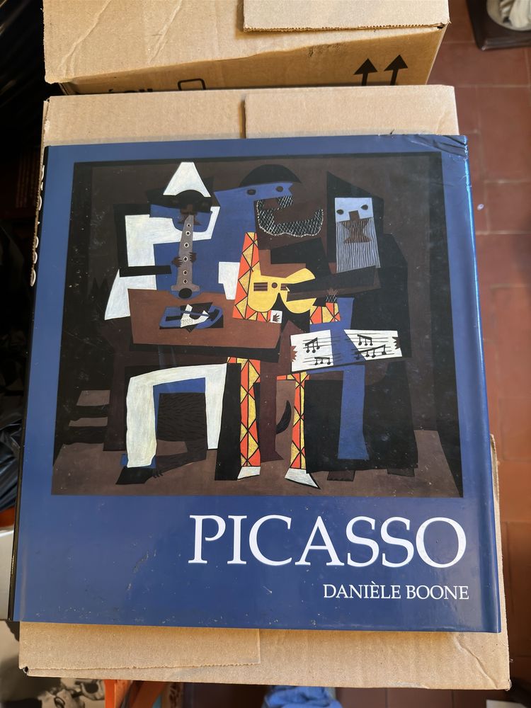 Conjunto de livros de arte