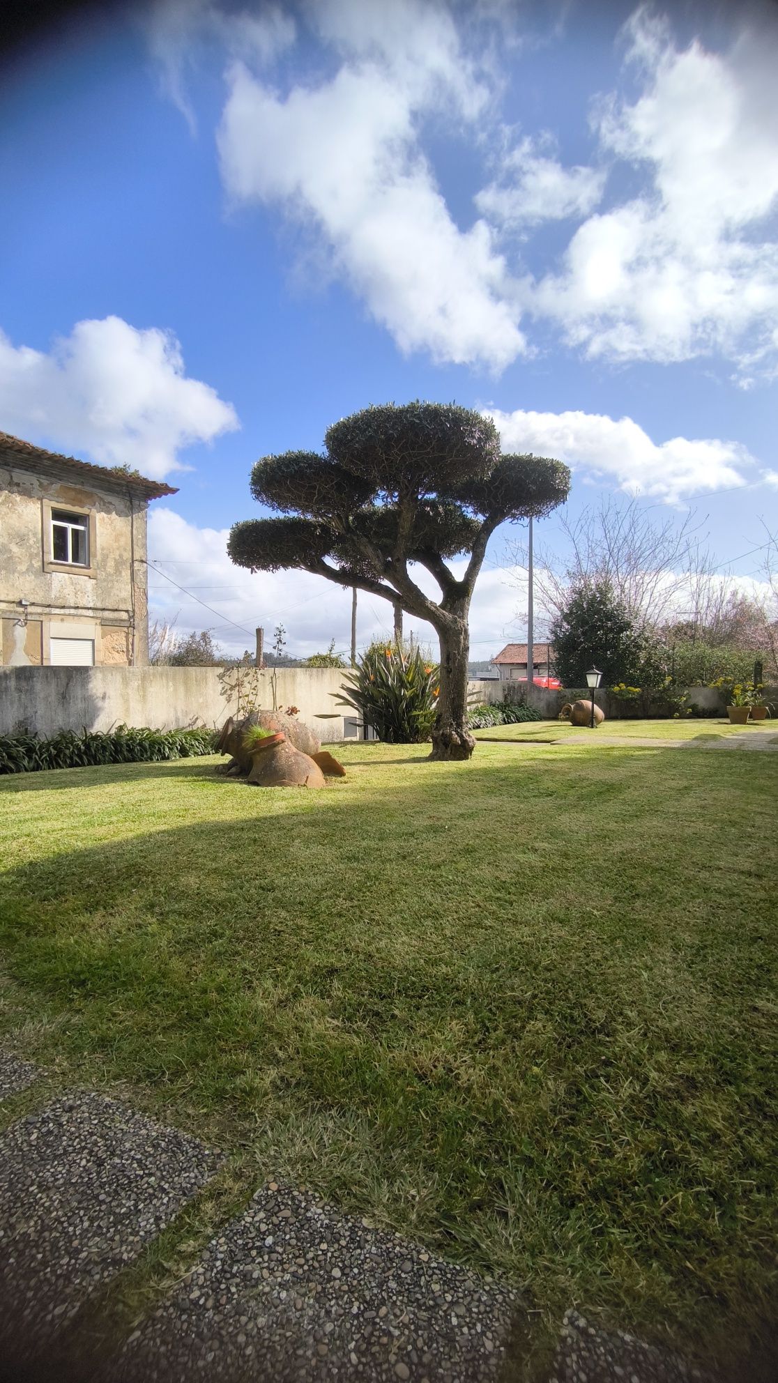 Serviços de jardinagem e Construção de relvados