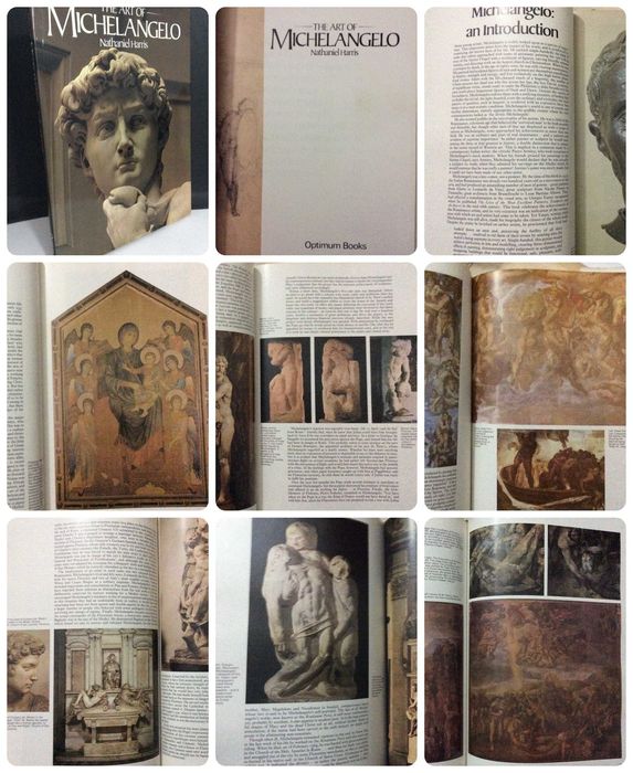 The art of Michelangelo Harris, Nathaniel  (1981)