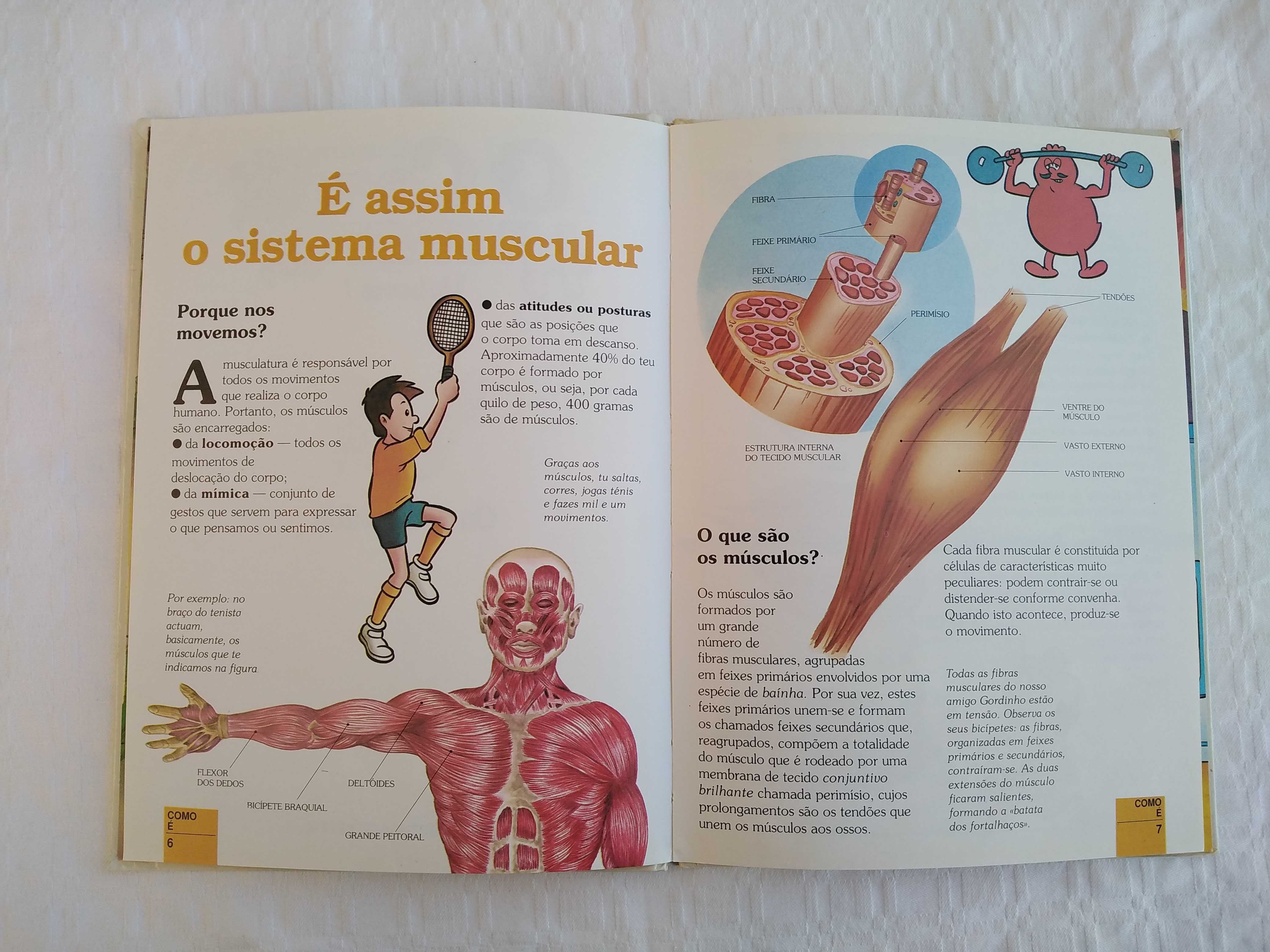 Livro Era Uma Vez o Corpo Humano - 1
