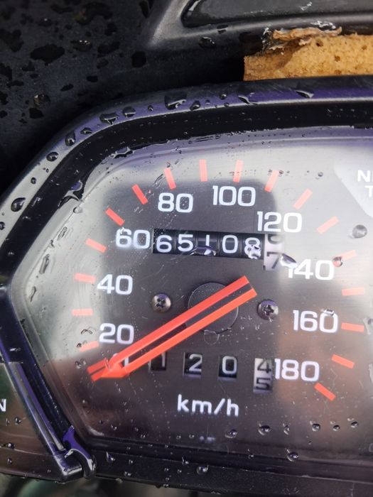 Honda dominator 650