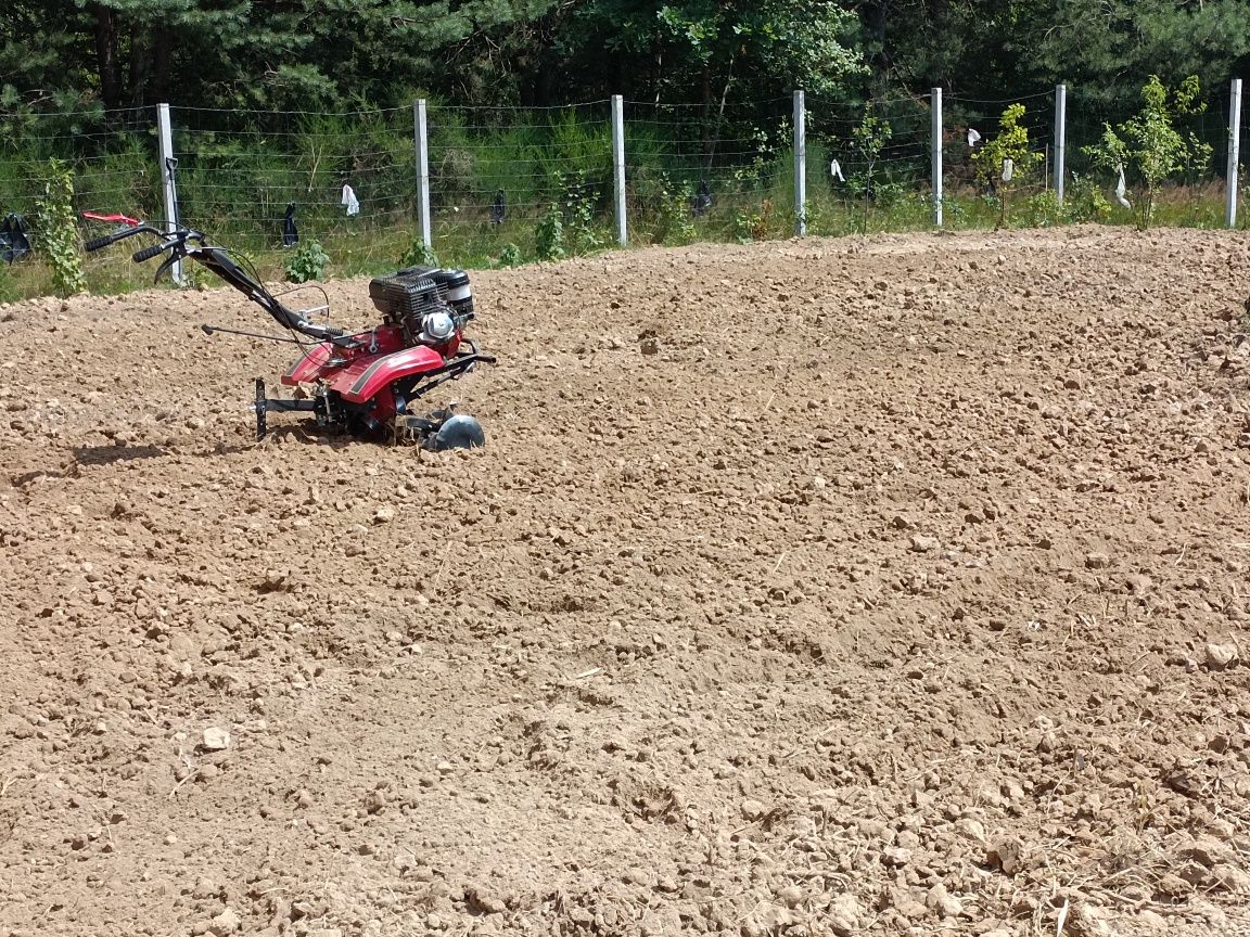 Przycinanie i wycinanie drzew i krzewów, zakładanie trawników i inne