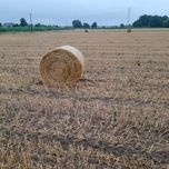 Sprzedam Słome  z owsa