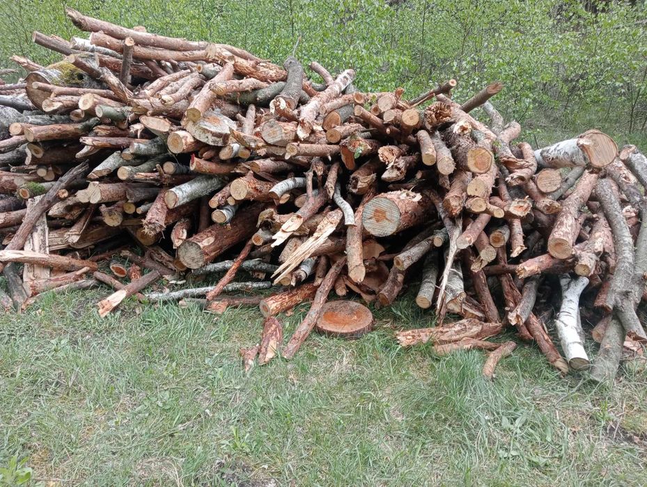 Sprzedam drewno opałowe i kominkowe oraz inne usługi.