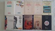 30 livros: Butor/ Michaux/ Guyotat/ Le Clézio/ Van Gogh/ Goya/ Artaud